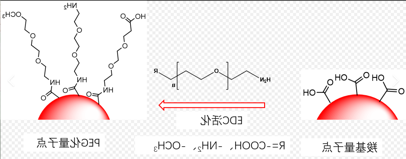 PEG-COOH修饰CdSe/ZnS量子点 PEG-COOH修饰CdSe/ZnS量子点