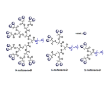 mPEG-Dendro Amine