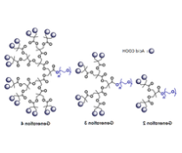mPEG-Dendro Acid mPEG-Dendro Acid