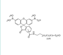 mPEG-Rhodamine mPEG-Rhodamine