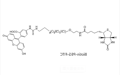 FITC-PEG-Biotin FITC-PEG-Biotin