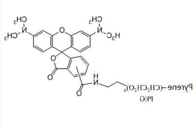 Pyrene-PEG-Rhodamine