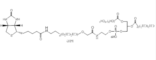 DSPE-PEG-Biotin