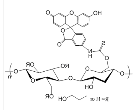 Cellulose-FITC Cellulose-FITC
