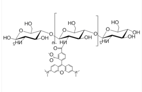 Chitosan Rhodamine