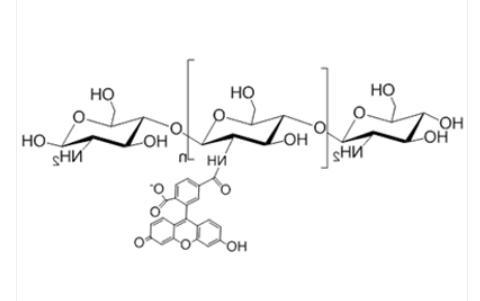 Chitosan-FITC Chitosan-FITC