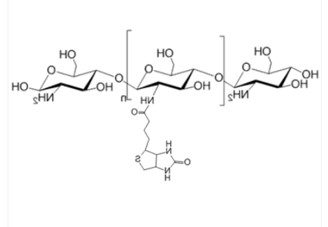 Chitosan-Biotin