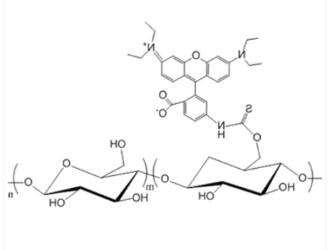Dextran-Rhodamine