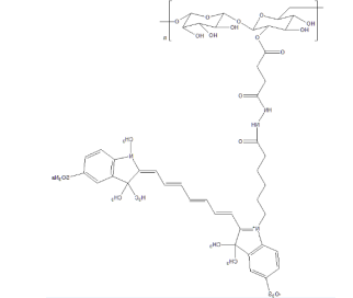 CY7-Dextran