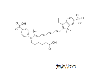 壳聚糖-七甲川染料CY7
