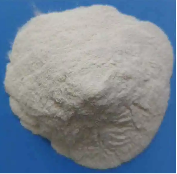 壳聚糖-透明质酸
