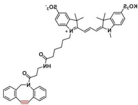 diSulfo-Cy3 DBCO(Methyl)