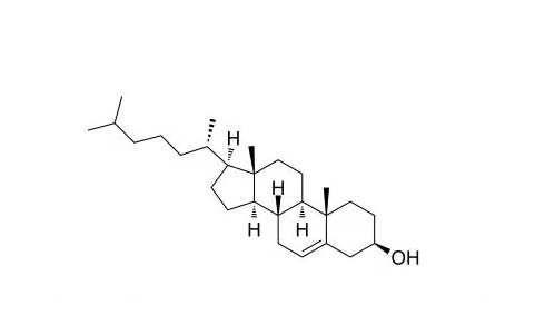 Cholesterol