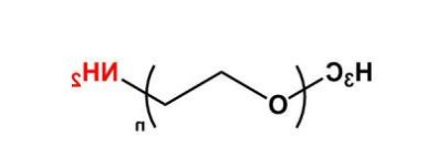 mPEG-Amine