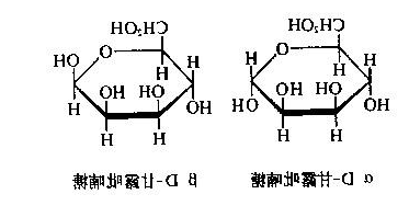 甘露糖-炔基