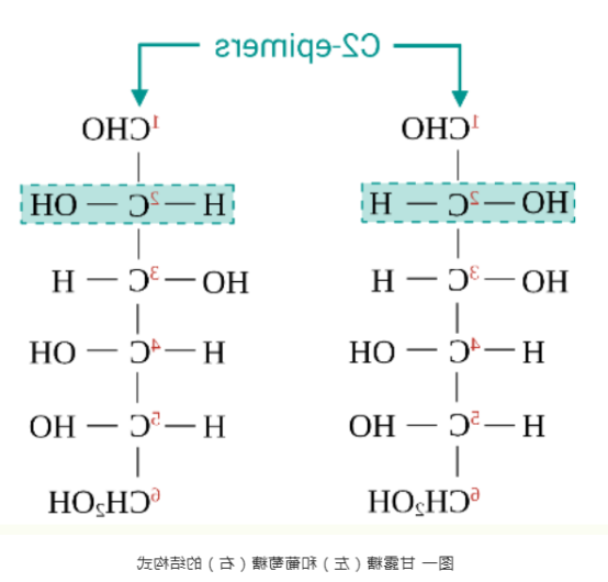 甘露糖偶联香豆素