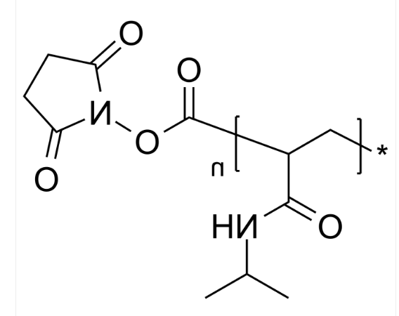 PNIPAM-NHS