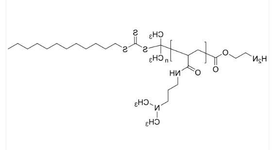 PDMAPAMD-NH2