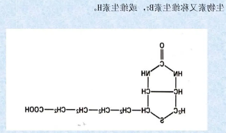 生物素(Biotin) 生物素(Biotin)
