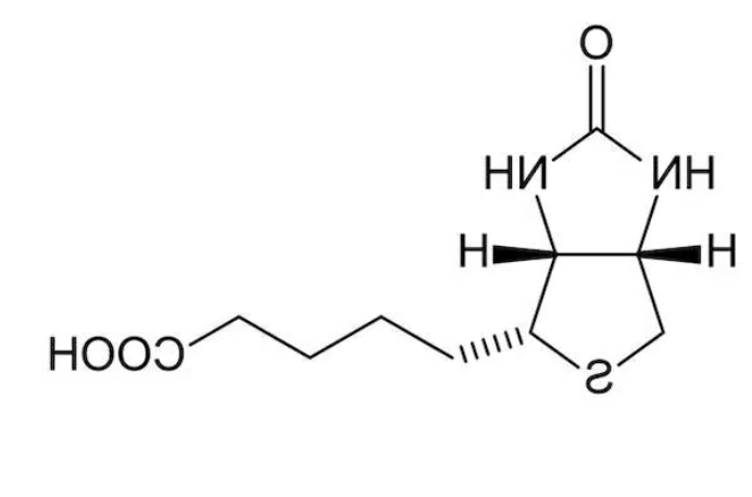 生物素（Biotin）