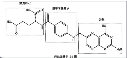 葡萄糖-叶酸