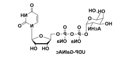 UDP-N-acetylgalactosamine,UDP-GalNAc,cas108320-87-2 UDP-N-acetylgalactosamine,UDP-GalNAc,cas108320-87-2