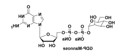 二磷酸鸟苷甘露糖 鸟苷5′-二磷酸-L –甘露糖钠盐 DISODIUM SALT