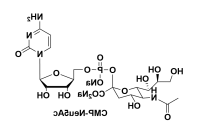 胞苷 5'-单磷酸酯-N-乙酰基神经氨酸 CMP-NANA CMP-Neuc 胞苷 5'-单磷酸酯-N-乙酰基神经氨酸 CMP-NANA CMP-Neuc
