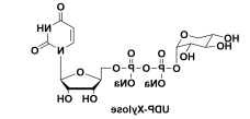 UDP木糖 UDP-xylose UDP-a-D-xylopyranose UDP-a-D-Xylose disodium UDP木糖 UDP-xylose UDP-a-D-xylopyranose UDP-a-D-Xylose disodium