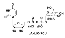 91183-98-1，UDP-N-acetylglucosamine，5′-二磷酸尿嘧啶核苷-N-乙酰半乳糖胺二钠盐