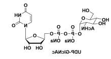 UDP-N-ACETYLGLUCOSAMINEDISODIUMSALT，尿苷二磷酸-N-乙酰氨葡萄糖二钠盐