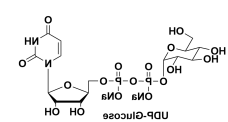 udp-葡萄糖,UDP-Glucose,UDP-Glc,cas117756-22-6, 28053-08-9 udp-葡萄糖,UDP-Glucose,UDP-Glc,cas117756-22-6, 28053-08-9