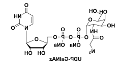 尿苷5'-二磷酸-N-乙酰叠氮氨基半乳糖胺二钠盐，UDP-GalNAz，UDP-GalNAz.2Na，CAS#: 653600-61-4