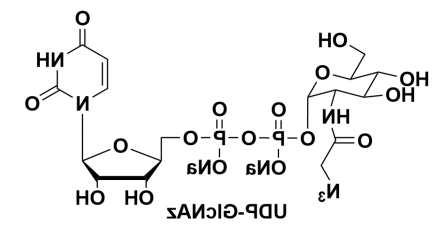 尿苷5'-二苯基-N-乙酰基叠氮葡糖胺二钠盐,Uridine 5’-diphopho-N-acetylazidoglucosamine disodium salt 尿苷5'-二苯基-N-乙酰基叠氮葡糖胺二钠盐,Uridine 5’-diphopho-N-acetylazidoglucosamine disodium salt
