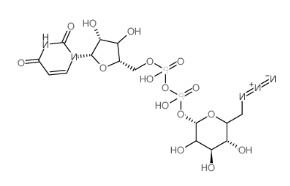 葡萄糖核苷酸，UDP-6-azido-6-deoxy-D-glucose disodium salt/galactose