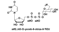 UDP-6-叠氮-6-脱氧-D-葡萄糖二钠盐,UDP-6-azido-6-deoxy-D-Glc.2Na/glucose UDP-6-叠氮-6-脱氧-D-葡萄糖二钠盐,UDP-6-azido-6-deoxy-D-Glc.2Na/glucose