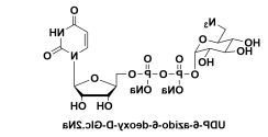 UDP-6-N3-Glucose,Uridine5'-(trihydrogendiphosphate)P'-(6-azido-6-deoxy-alpha-D-glucopyranosyl)ester UDP-6-N3-Glucose,Uridine5'-(trihydrogendiphosphate)P'-(6-azido-6-deoxy-alpha-D-glucopyranosyl)ester