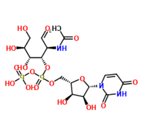 UDP-GALNAC,叠氮修饰N-乙酰半乳糖胺,7277-98-7 UDP-GALNAC,叠氮修饰N-乙酰半乳糖胺,7277-98-7