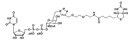 UDP-6-Biotinyl-GalNAc，生物素偶联N-乙酰半乳糖胺