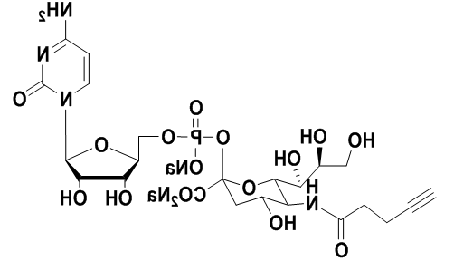 炔基修饰的CMP-唾液酸,CMP-C5-alkynyl-Sialic Acid 炔基修饰的CMP-唾液酸,CMP-C5-alkynyl-Sialic Acid