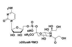 cas1955-26-6，UDP-rhamnose，尿苷二磷酸鼠李糖，二磷酸尿苷鼠李糖酯