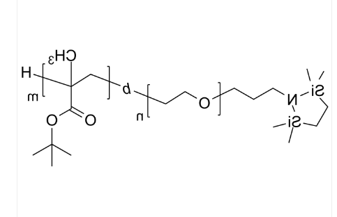 NH2-PEG-PtBuMA