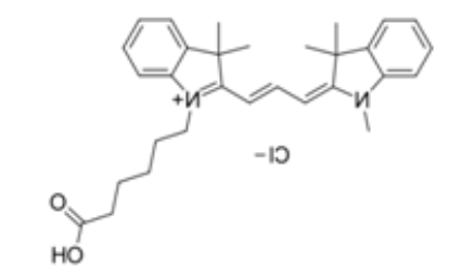 花菁染料CY3标记羧基