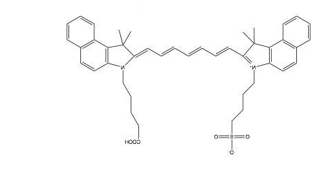 ICG-COOH 