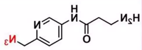 picolyl-azide-NH2   