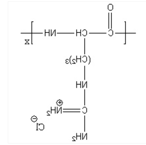 PLR PLR