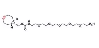 BCN-endo-PEG5-NH2  