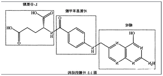 阿霉素-叶酸