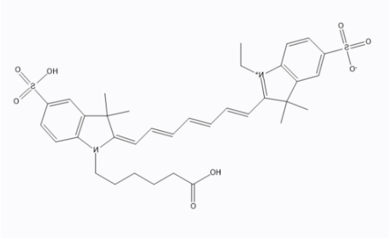 Cy7-PEG2k-DOX Cy7-PEG2k-DOX
