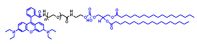 DSPE-PEG-Rhodamine 二硬脂酰基磷脂酰乙醇胺-PEG-罗丹明 DSPE-PEG-RB的高清结构式